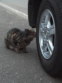 2016-05-18 19.03.59.jpg