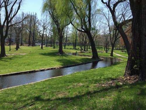 2016-05-08 12.26.25.jpg