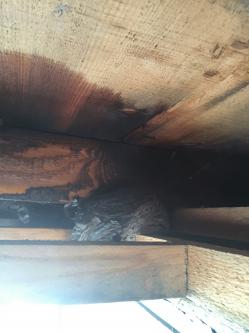 2016-06-28 14.50.22.jpg