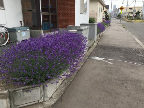 2016-07-09 15.33.52.jpg