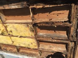 2016-09-01 11.38.32.jpg