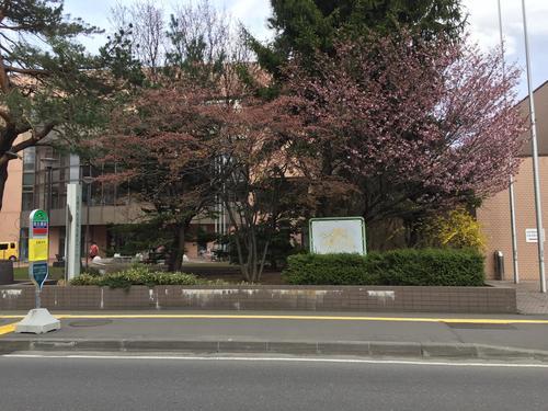 写真 2017-04-27 15 37 10.jpg