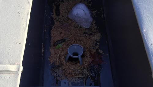 写真 2016-11-12 14 44 51 (1).jpg