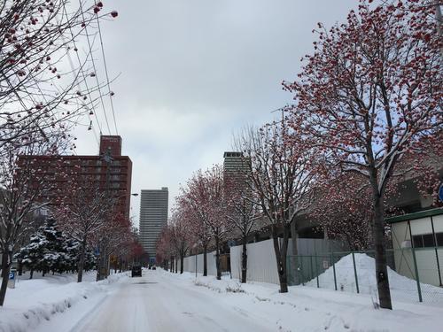 写真 2017-12-16 13 22 37.jpg