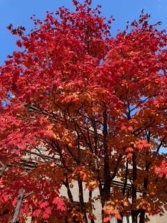 image1-1.jpegのサムネイル画像