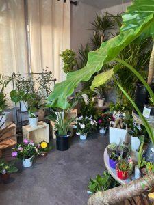 image4-225x300.jpegのサムネイル画像