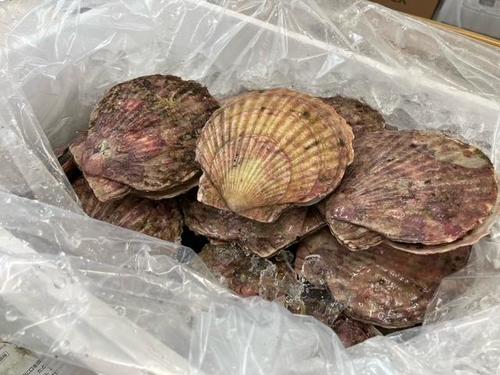 cid0B361BA8-68A9-4F9E-A99B-C1ADAE8E672F-L0-001.jpegのサムネイル画像