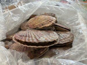 cidEE77797B-D779-4374-98F7-580ADE7D01BD-L0-001-300x225.jpegのサムネイル画像