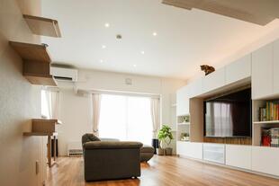 愛猫と共に心地よく暮らす家