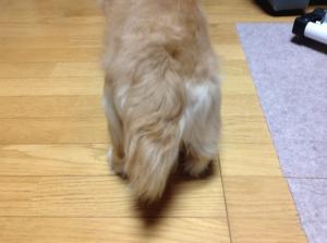 2013-12-11 20.45.03.jpg