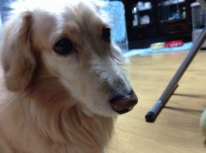 2013-12-11 20.49.17.jpg