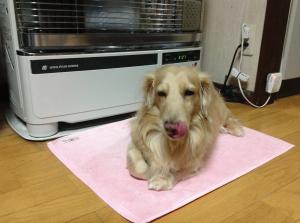 2013-12-13 21.27.15.jpg