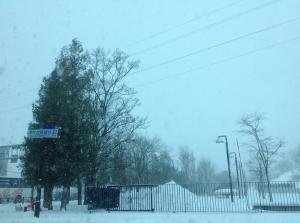 2013-12-15 07.57.24.jpg