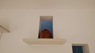 キャットウォーク使用例①