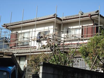 DSC02054.JPGのサムネイル画像