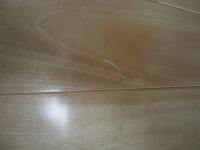 都筑様邸前①.jpgのサムネイル画像