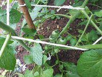 20180606_085641 (2).jpg