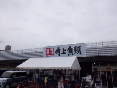 DSCF1377.JPG