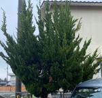 491526438357565510 - コピー.jpg