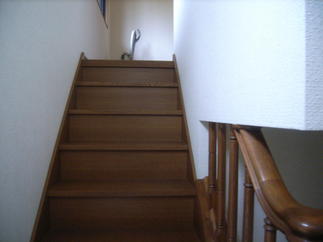 下から写真BEFORE 