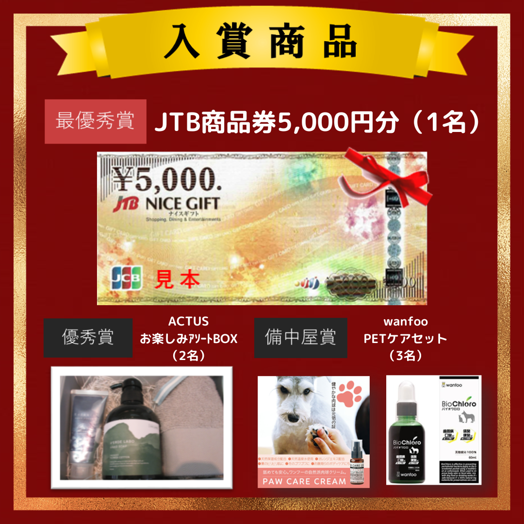 3.入賞商品.png