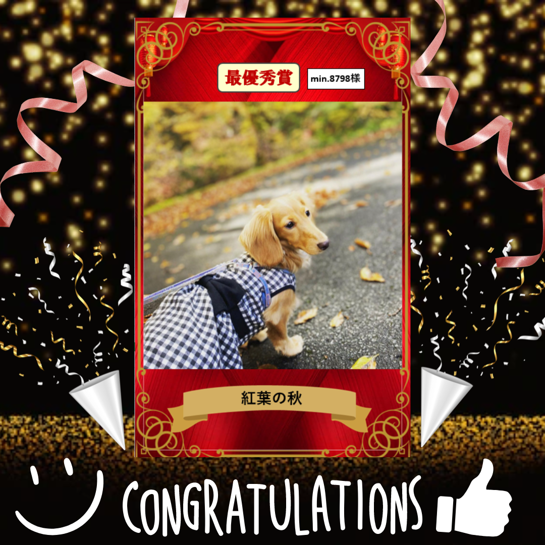 ②結果発表　最優秀賞.png