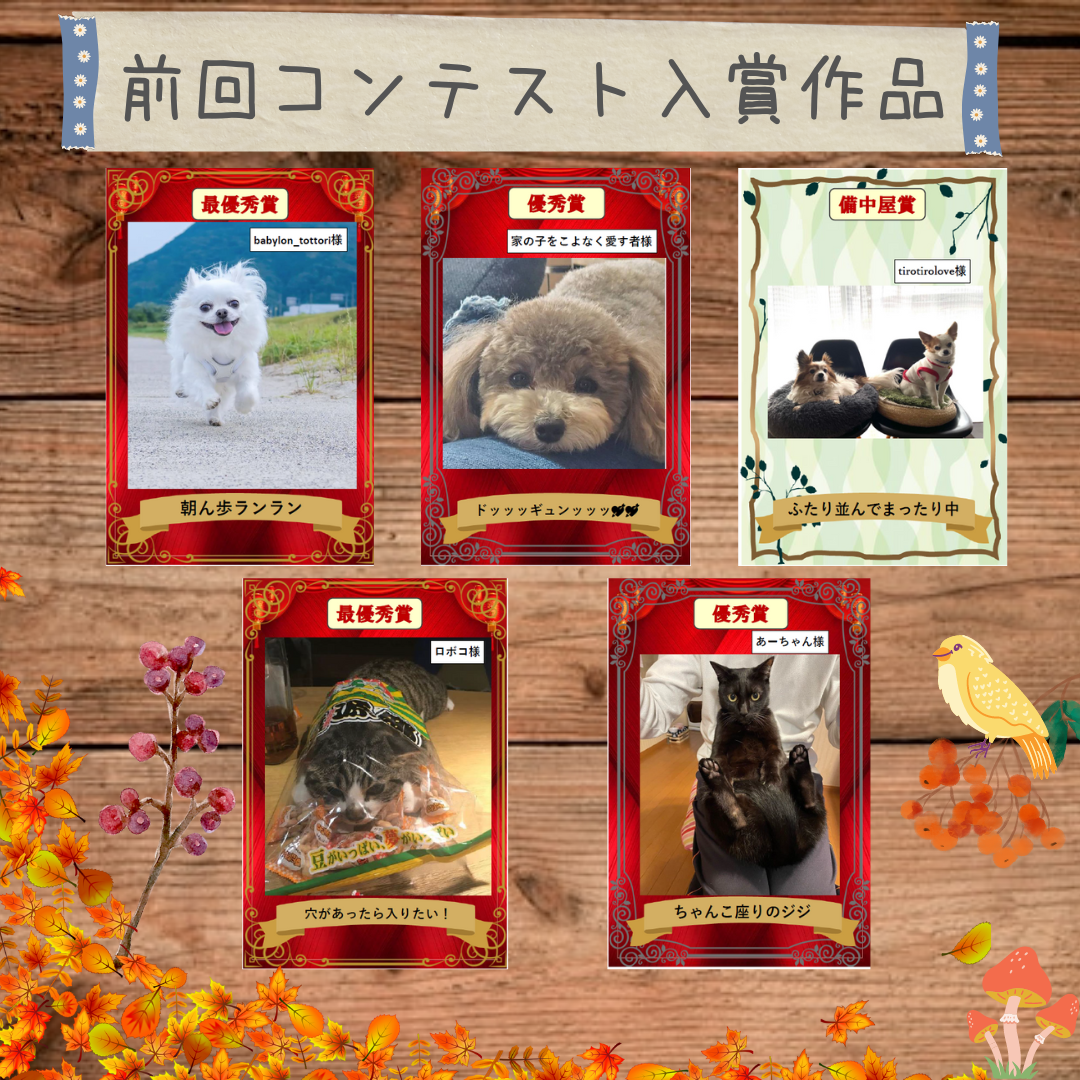 5.前回コンテスト入賞作品.png