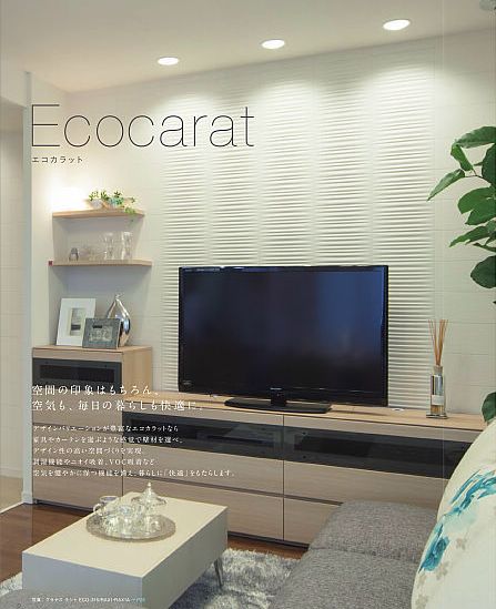 Ecocarat1.jpg