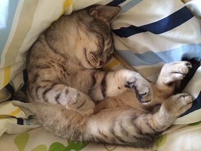 s-ブログ用.jpgのサムネイル画像