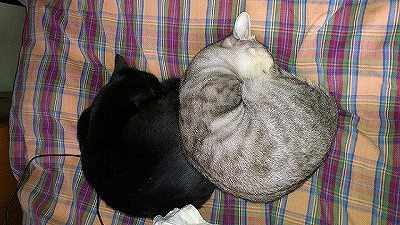 s-s-s-ブログ用.jpgのサムネイル画像のサムネイル画像のサムネイル画像のサムネイル画像のサムネイル画像のサムネイル画像のサムネイル画像のサムネイル画像のサムネイル画像