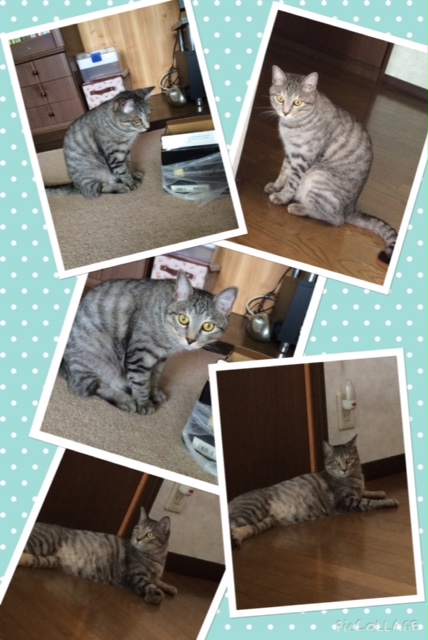 まとめ.JPGのサムネイル画像のサムネイル画像