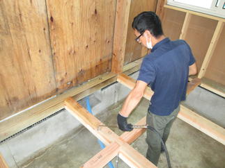 白蟻防除、駆除