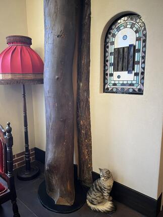 店内⑥大切なものをいつまでも