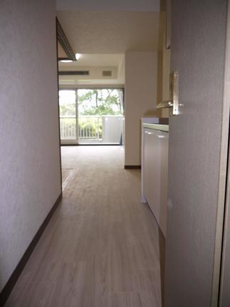 リニューアルホームエグザ　　チークカラー