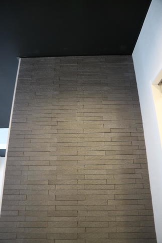 玄関の正面にエコカラット！