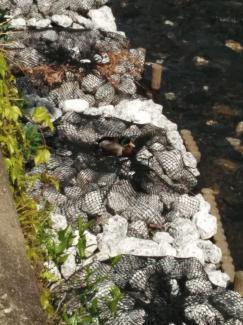 IMG_20150418_101644.jpgのサムネイル画像