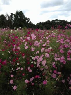 1027.jpgのサムネイル画像