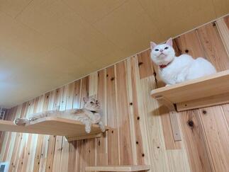 ニャンと！まぁ✨