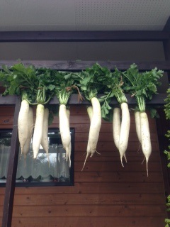 大根干し.JPG