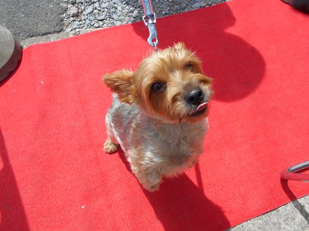 DSCN1859 - コピー.JPG