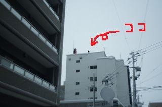 _DSC4643 - コピー.JPG