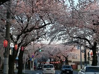 DSC_0150 - コピー.JPG