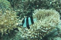 CIMG1717.JPGのサムネイル画像のサムネイル画像