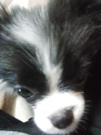 メイたそがれる (3).jpgのサムネイル画像