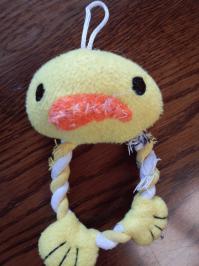 メイブログ１.jpgのサムネイル画像