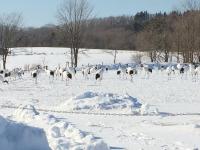 IMG_1463.JPGのサムネイル画像