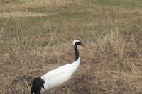 CIMG2304.JPGのサムネイル画像