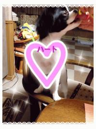 メイハートマーク.jpgのサムネイル画像