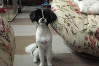 CIMG2354.JPGのサムネイル画像