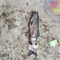 IMG_2629.JPGのサムネイル画像